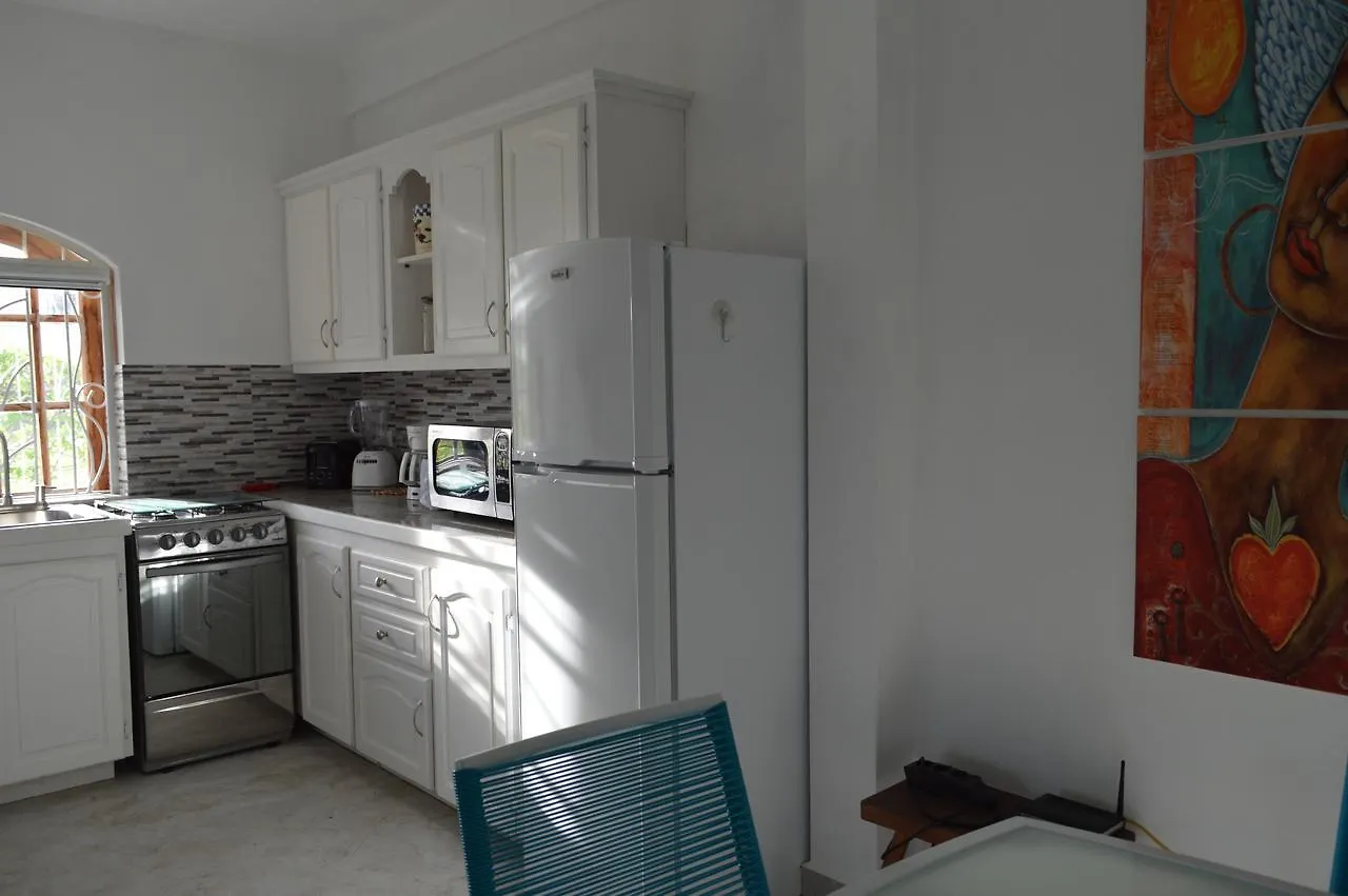 Frangipani Apartment Κράιστ Τσερτς