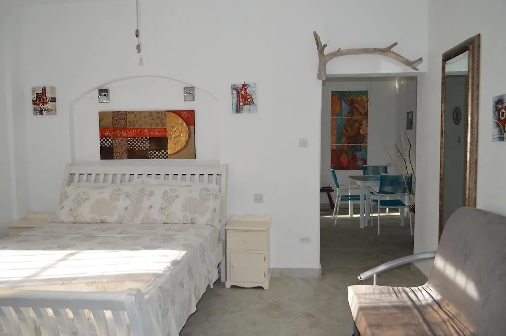 Frangipani Apartment Christ Church