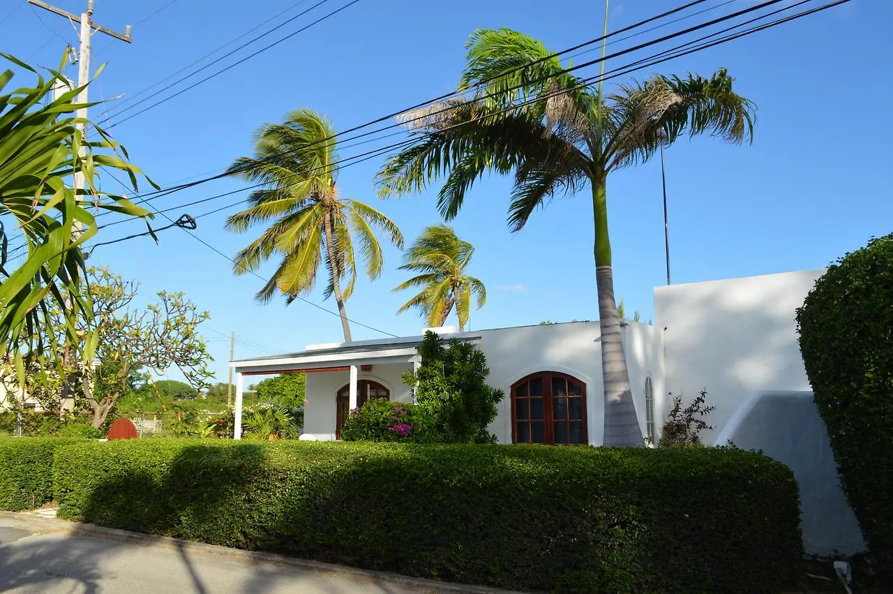 Frangipani Apartment Christ Church
